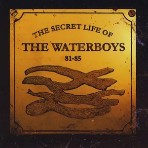 The secret life of the Waterboys '81-'85